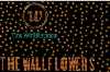 the wallflowers